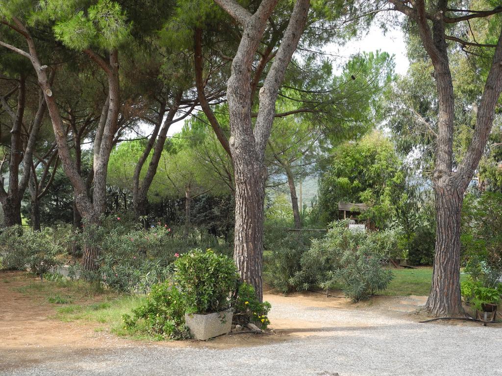 Podere Oslavia Az.Agr.Bio Giannini Alberese Extérieur photo
