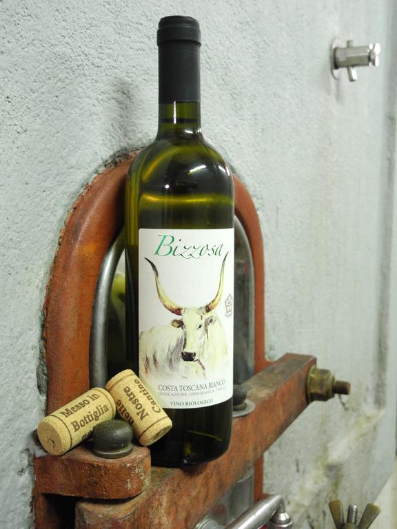 Podere Oslavia Az.Agr.Bio Giannini Alberese Extérieur photo