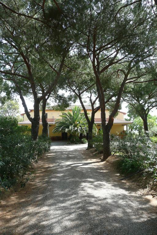 Podere Oslavia Az.Agr.Bio Giannini Alberese Extérieur photo