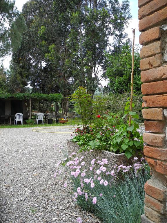 Podere Oslavia Az.Agr.Bio Giannini Alberese Extérieur photo