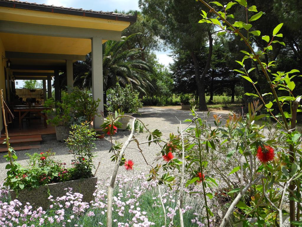 Podere Oslavia Az.Agr.Bio Giannini Alberese Extérieur photo