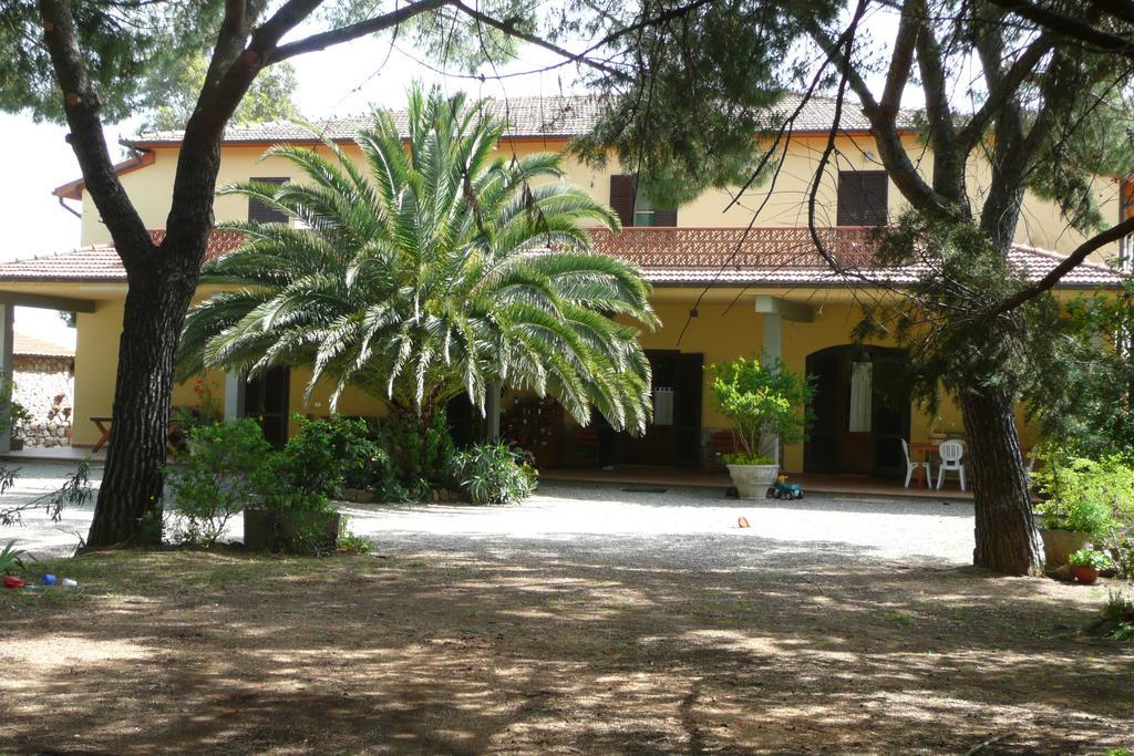 Podere Oslavia Az.Agr.Bio Giannini Alberese Extérieur photo